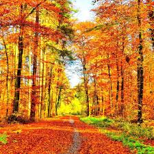 Autumn in China (September to November)